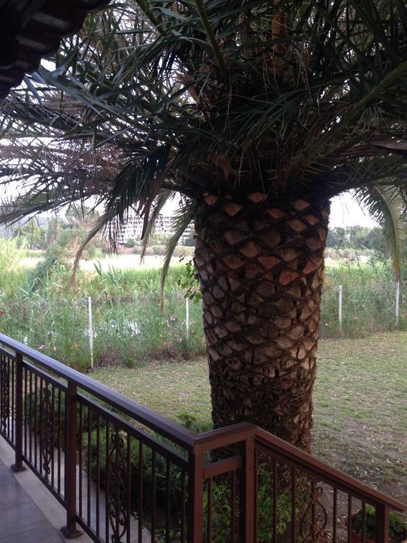 נאוס מרמרס Villa Niki מראה חיצוני תמונה