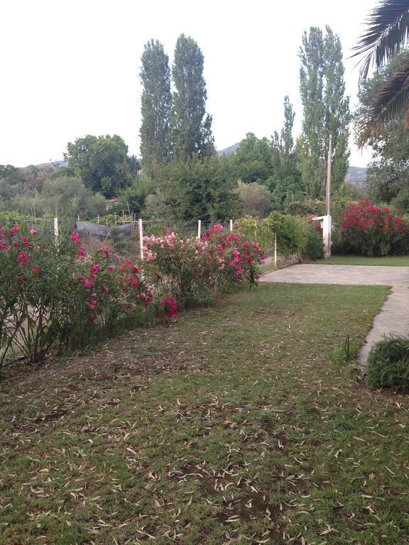 נאוס מרמרס Villa Niki מראה חיצוני תמונה